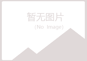 安图县浮梦水泥有限公司